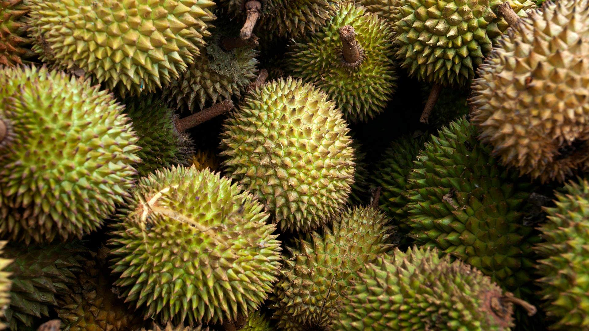 Detailní záběr durianů.